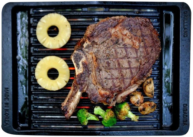 그릴랜드 디바디바 아이언 숯불그릴, 1개