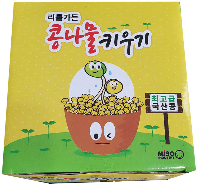 리틀가든 콩나물 키우기 키트, 1개
