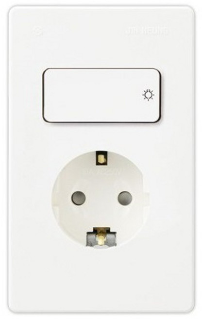 진흥전기 Vseries 개별 스위치 접지콘센트 1구, 1개