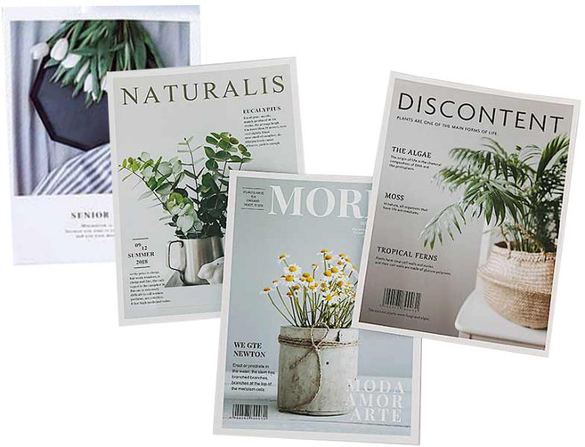 감성 식물 벽포스터 엽서 모노 4종 세트