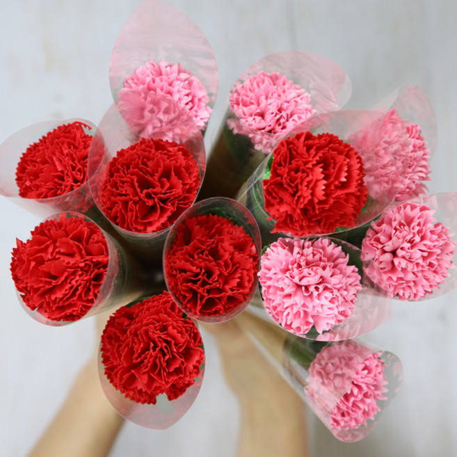 한송이 카네이션 2종 x 6p 세트, 레드 + 핑크, 1개