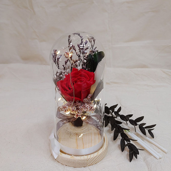 꽃이있는풍경 생화 프리저브드 플라워 + 유리돔 소, 레드(프리저브드 플라워), 유리돔소