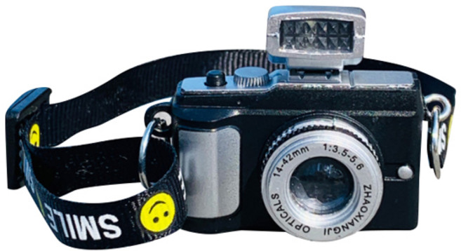 레드포션 스마일 카메라 파올라레이나 인형 가구 소품 미니어쳐 의자 인테리어, 혼합색상, 1개