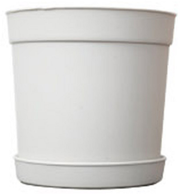 담따 베이직 화분, 화이트, 10개