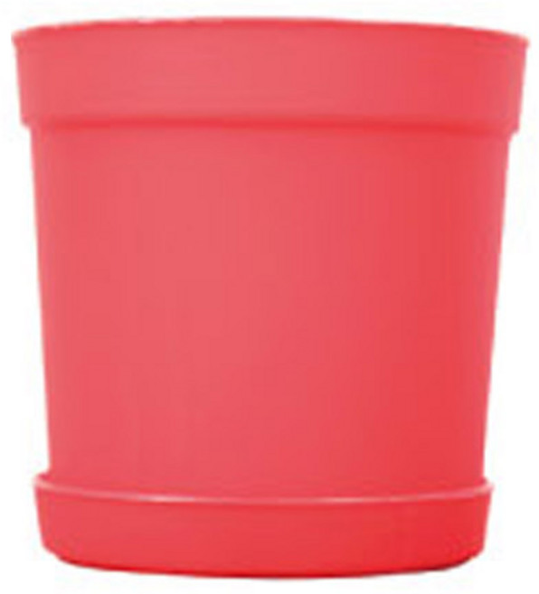 담따 베이직 화분, 레드, 10개
