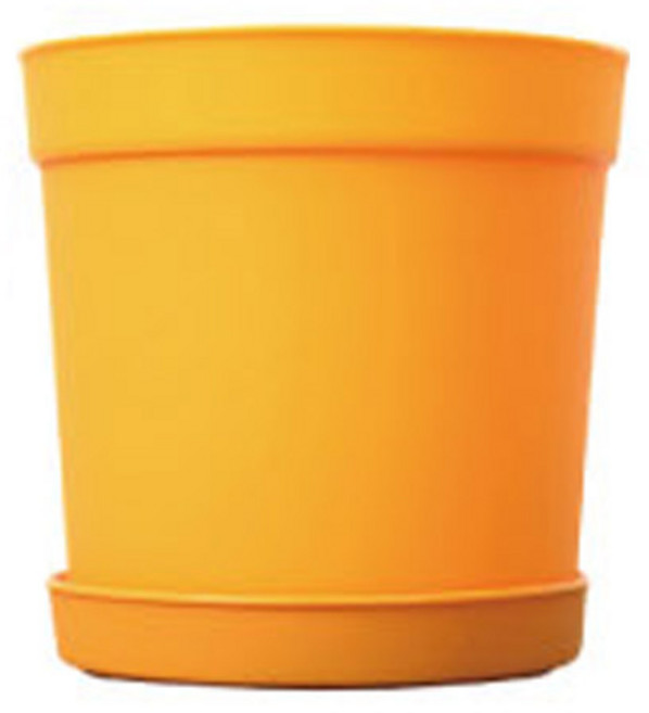 담따 베이직 화분, 옐로우, 10개