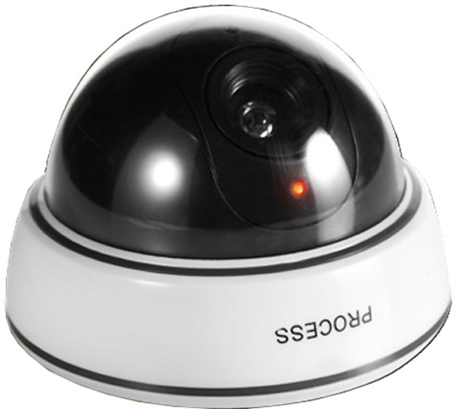 지오비즈 돔형 E타입 모형CCTV, 1개