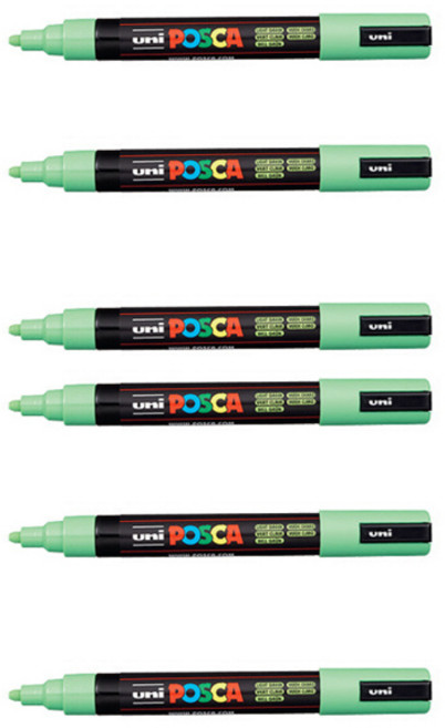 포스카 컬러마커 PC-5M L GREEN, 6개, 1색