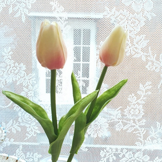 조화 튤립, 연핑크, 5개