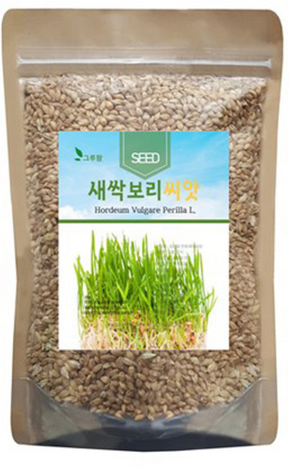 재배용 새싹보리 씨앗 1kg, 1개
