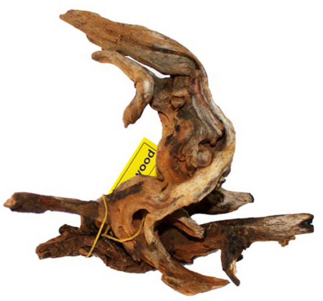 샘아쿠아 프리미엄 와일드 유목, 1개