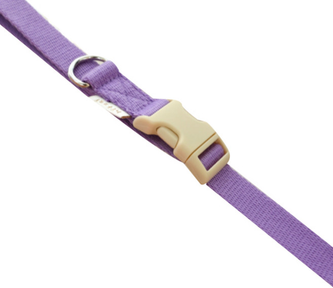 힛찌 강아지 리드줄, 캔디퍼플, 1개