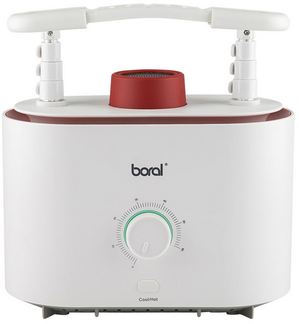 보랄 의류 건조 관리 에어다리미 화이트, BR-ACD500