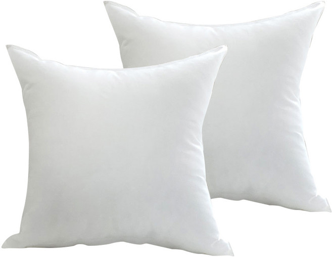 이룸앤 스탠다드 지퍼형 쿠션솜 2p, 화이트, 2개