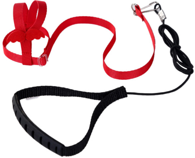 리젠스 앵무새 조류 훈련 하네스 줄 세트 L, 빨강, 1세트