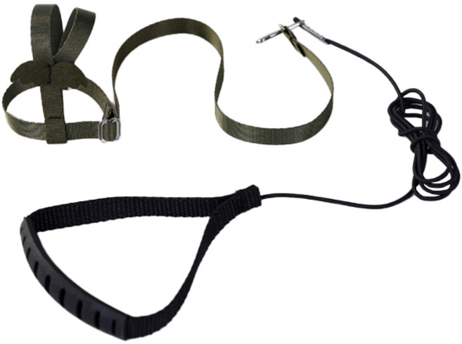 리젠스 앵무새 조류 훈련 하네스 줄 세트 M, 녹색, 1세트
