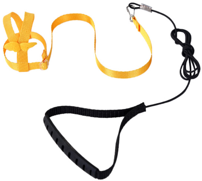 리젠스 앵무새 조류 훈련 하네스 줄 세트 XS, 노랑, 1세트