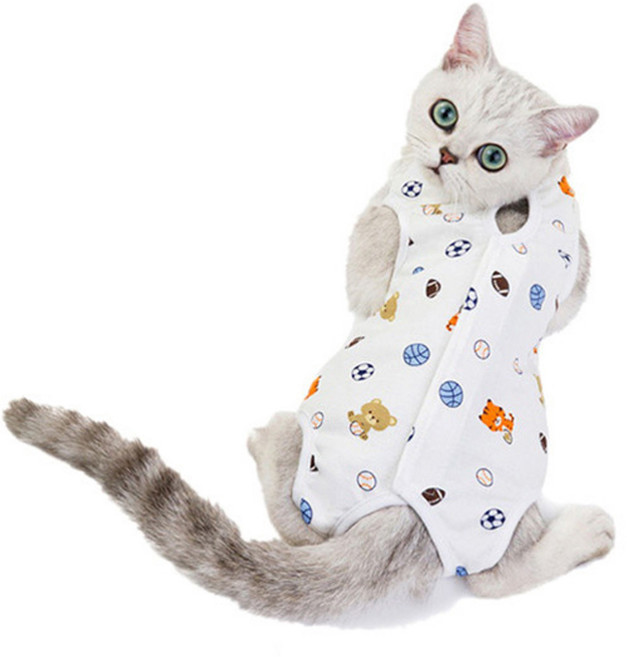 반려동물 중성화 상처보호복, 축구, 1개