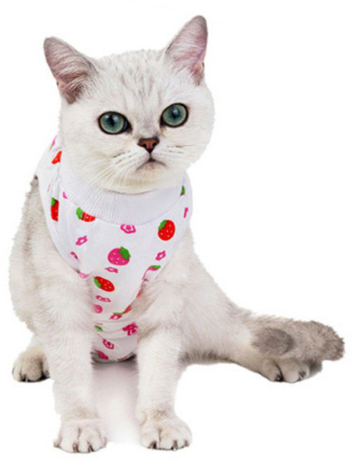 리치독스 반려동물 중성화 수술복, 딸기, 1개