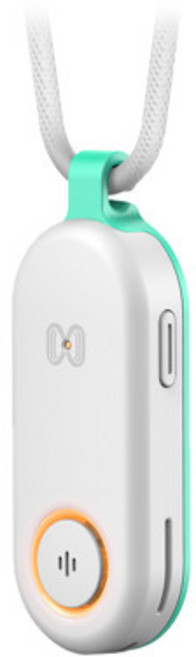 모스아웃 휴대용 모기퇴치기 일반형 민트, C1000