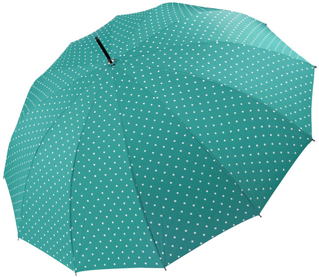 피에르가르뎅 미니도트 자동 장우산