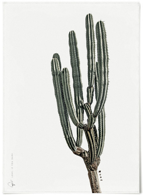 판다스틱 패브릭 포스터 F021 선인장 식물 그림 허그미 중형, 없음