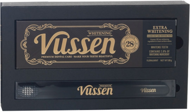 뷰센 28 치약 + 칫솔 검정색 덴탈세트, 1세트