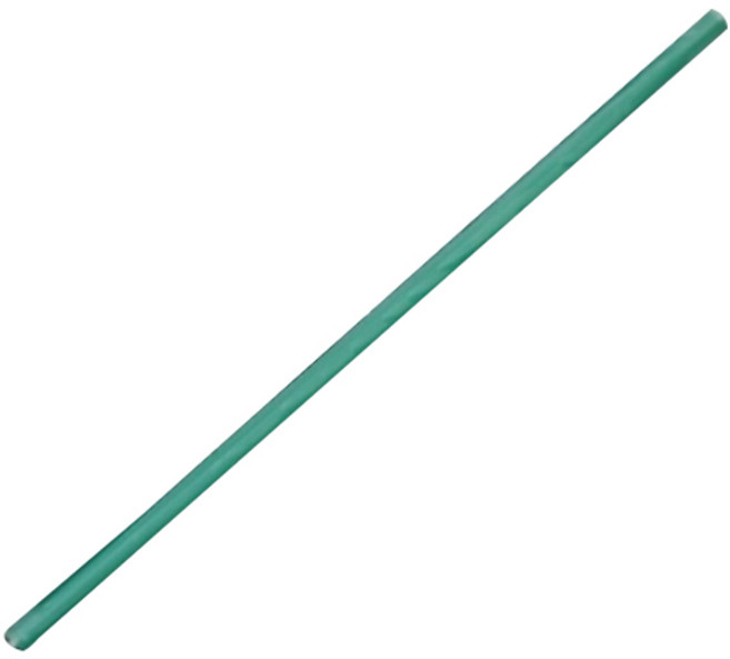 네이처컨테이너 녹색 21cm 개별포장 빨대, 500개입, 1개