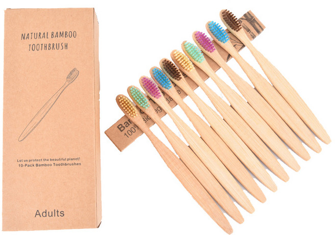 디에닐 제로웨이스트 온가족 나무 칫솔 패키지 10종, 1세트, 10개입