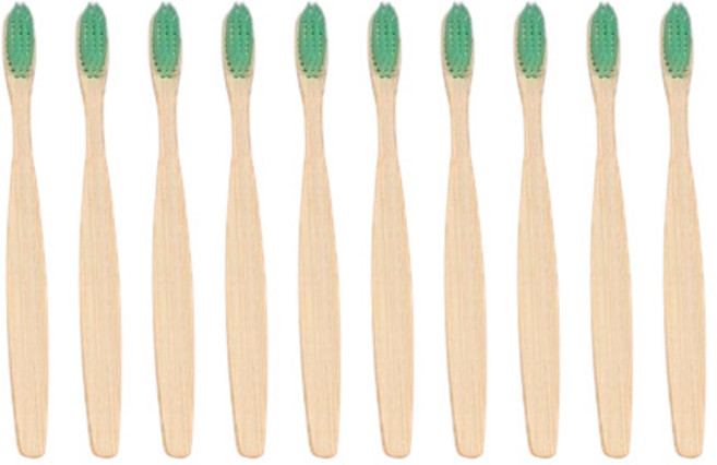 디에닐 제로웨이스트 나무 칫솔 그린, 10개, 1개입