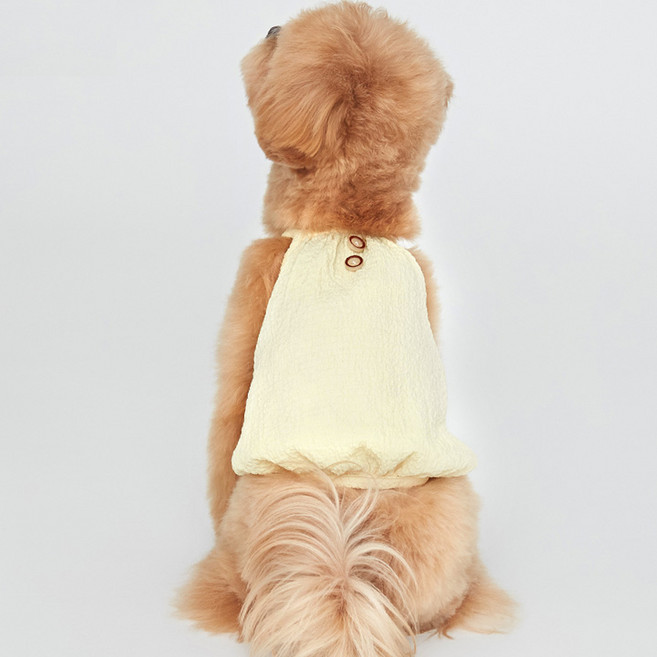 마이플러피 반려동물 소보루 끈나시, 레몬쉬폰, 1개