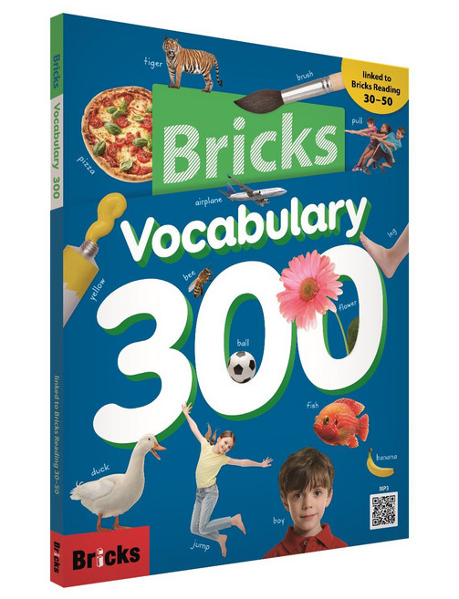 Bricks Vocabulary 300, 사회평론