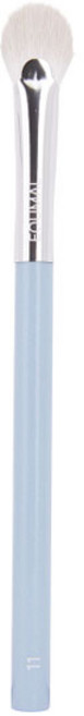 에크멀 이지 브러시 AA 11 샤인 페이스, 혼합색상, 1개