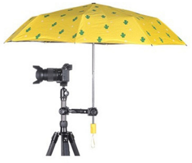 주닉스 카메라 삼각대 우산 고정 클립, 1개