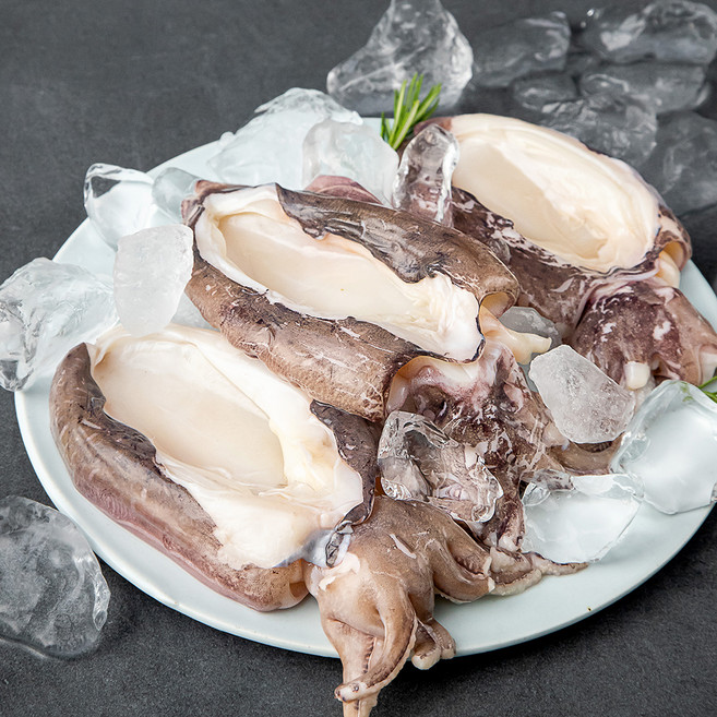 살맛나요 탱글탱글 손질 갑오징어, 500g, 1개