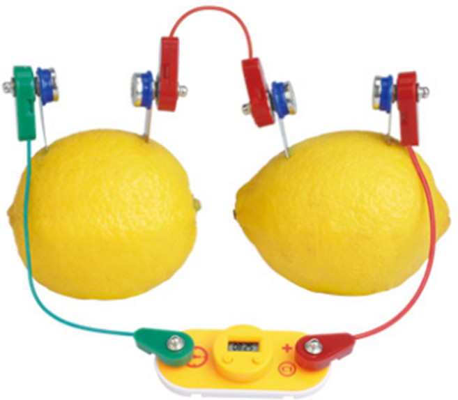 캐스비 네이처 척척박사 전기회로 과일로 전기만들기 2170, 1개