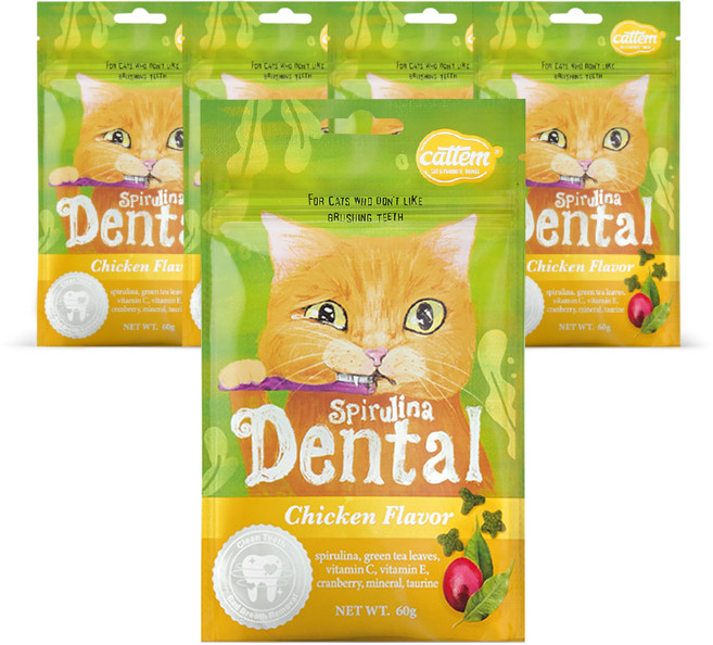 캣템 스피루리나 덴탈 고양이 간식, 치킨, 60g, 5개