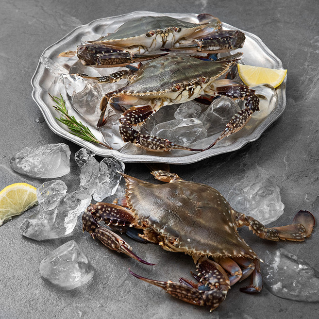 어부심 산지직송 서해안 제철 알배기 암꽃게 (냉장), 1kg (3~5미), 1박스