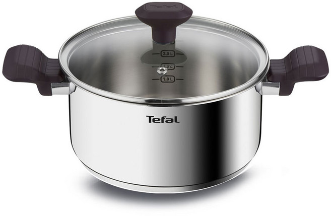 테팔 인덕션 스테인리스 스틸 테이스티쿡 양수냄비, 20cm, 혼합색상, 1개