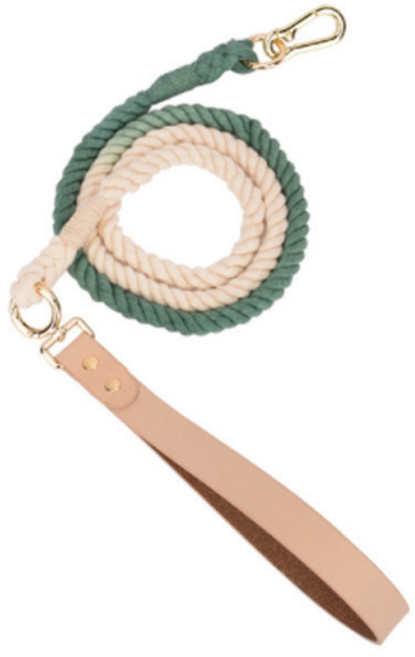 하이어앤하이어 강아지 그라데이션 목줄, 그린, 1개