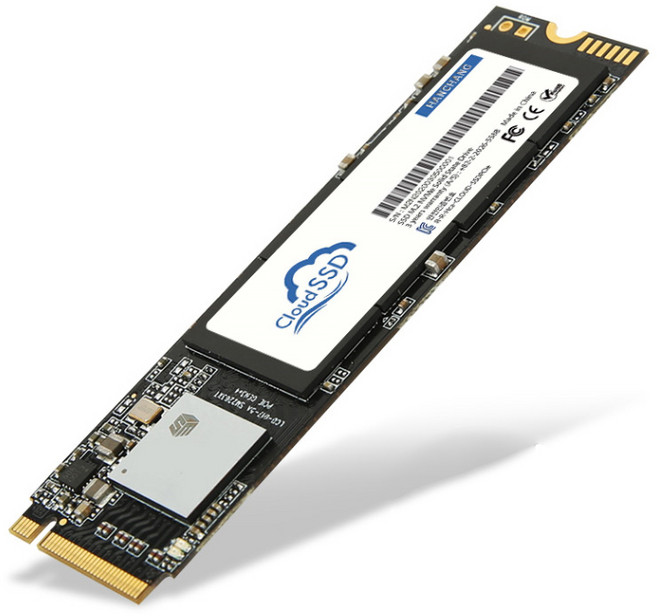 한창코퍼레이션 CLOUD SSD M.2 NVMe, 512GB