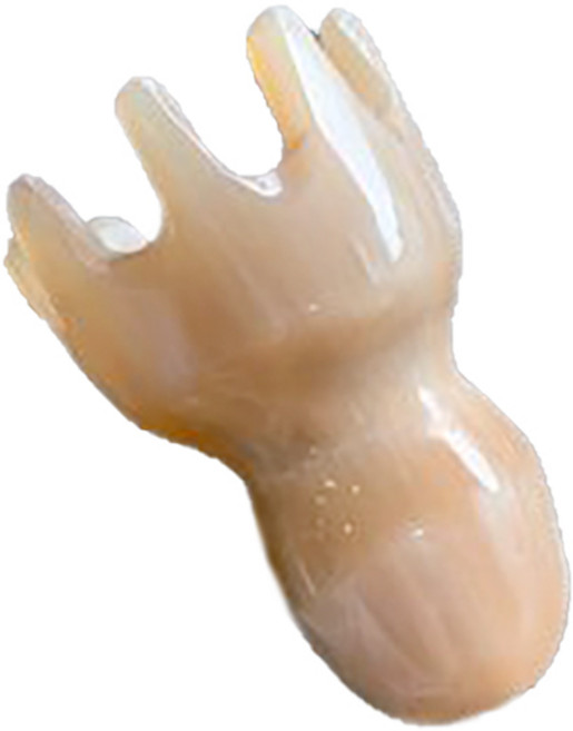 마켓에이 물소뿔 두피마사지 문어괄사 4호, 백각, 1개