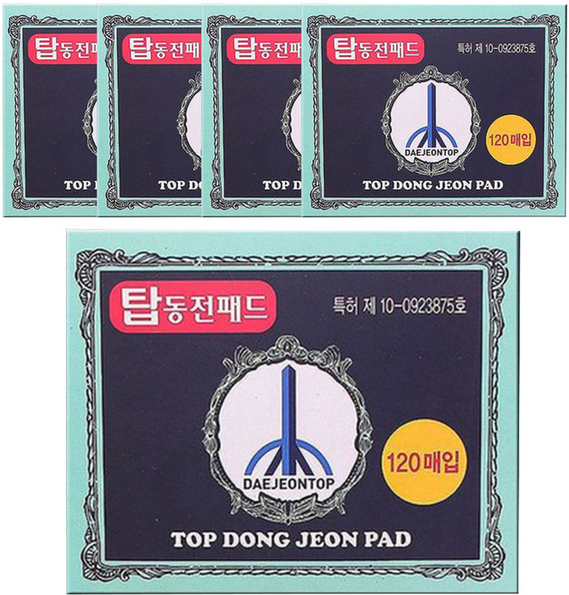 대전탑 탑동전패드 120p, 5개