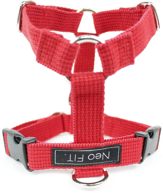 네오핏 강아지 H형 하네스, 레드, 1개