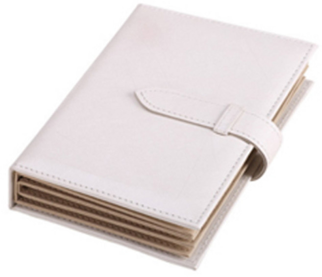 귀걸이 다이어리 케이스, 1개, 화이트