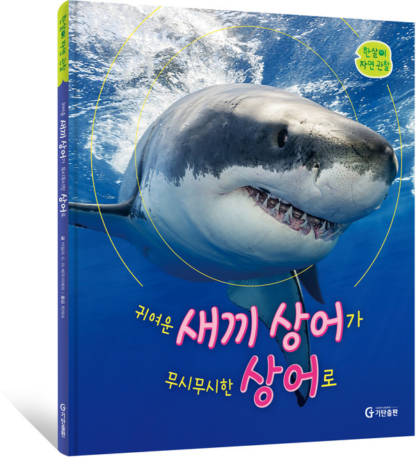 귀여운 새끼 상어가 무시무시한 상어로, 기탄교육연구소