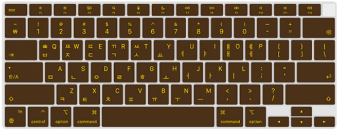 카라스 삼성 갤럭시북 이온 15 노트북 NT951XCJ 칼라 글자 키스킨 지문인식 키뚫림, CHOCOLATE, 1개