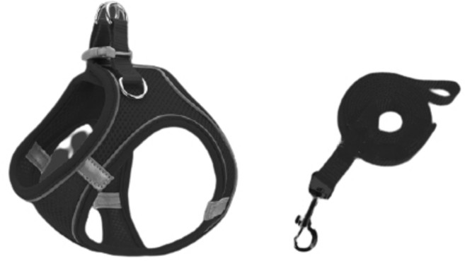 치타샾 강아지 고양이 빛반사 하네스세트, 블랙, 1세트