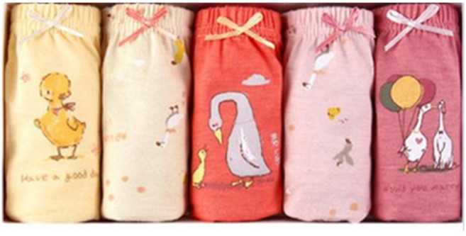 엠알키즈 여아용 키즈스 아기오리 삼각팬티 5종 세트