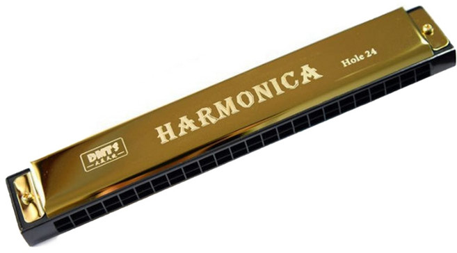 고나비 입문용 하모니카 24홀, 골드, GNB-24, 1개
